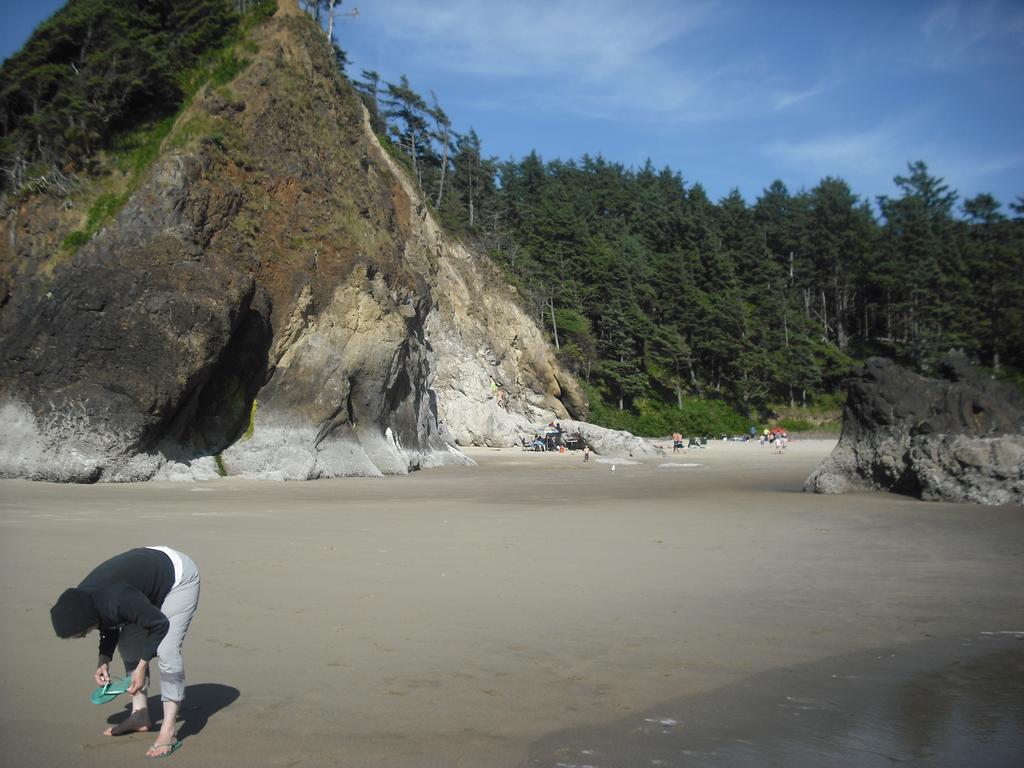 Grey Whale * Cannon Beach