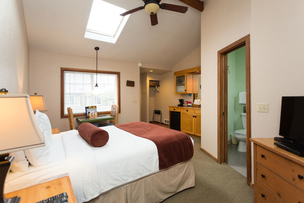 At Haystack Rock 4*