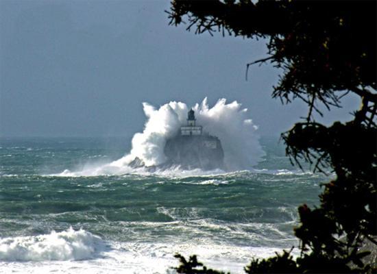 Hotel Webb's Scenic Surf