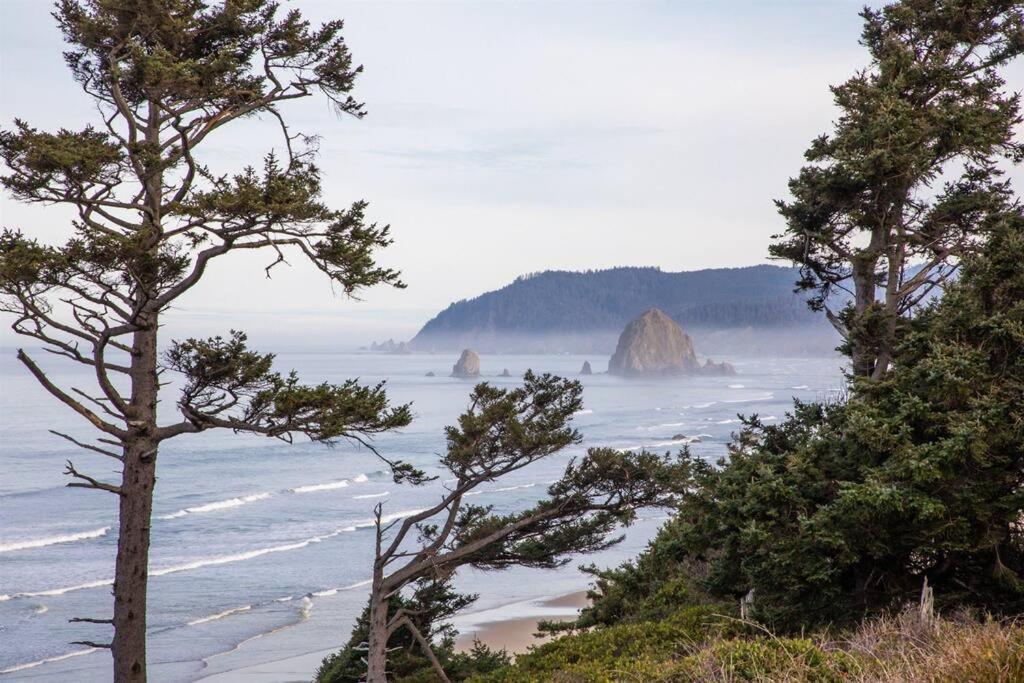Cannon Retreat: Oceanfront With Fireplaces Holiday home Cannon Beach