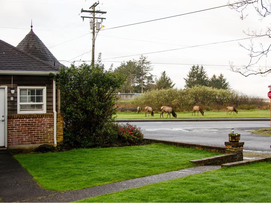Motel Ecola Creek Cannon Beach