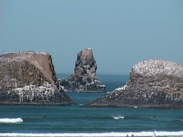 Hotel Webb's Scenic Surf