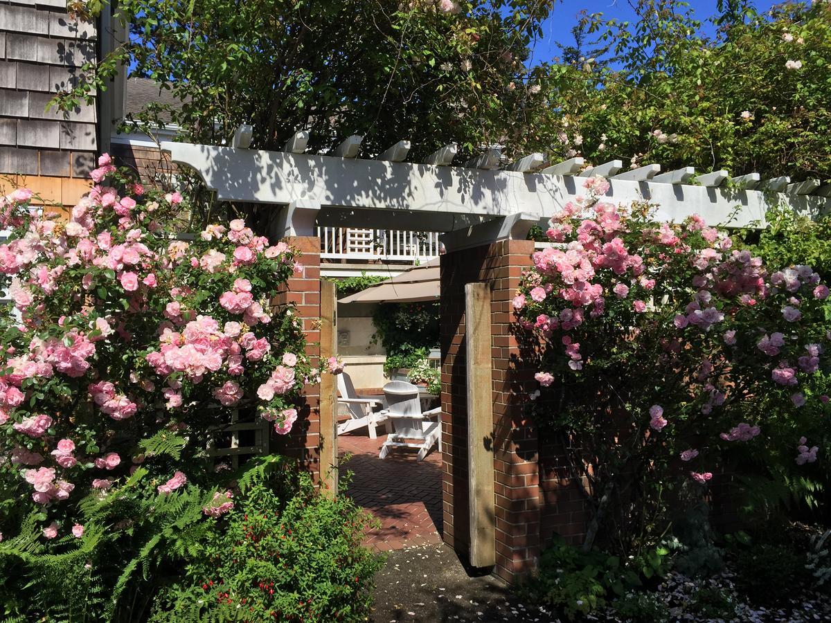 The Courtyard 3* Cannon Beach
