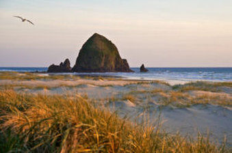 Blue Gull Inn 4*