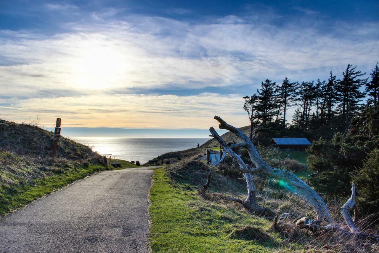 Beaches | Pelicans View Cannon Beach